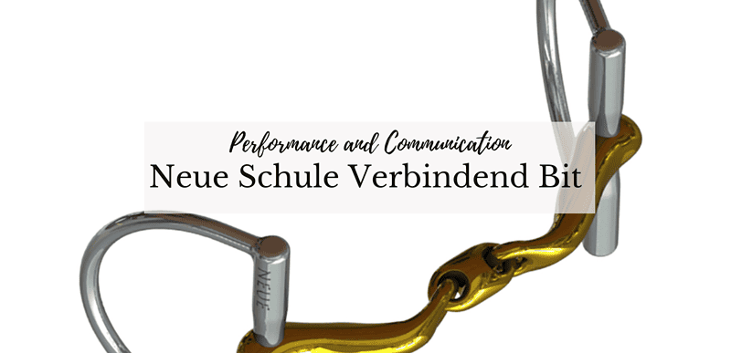 Neue Schule Bit