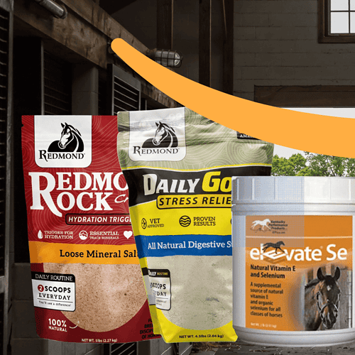 amazon shopping for my horse