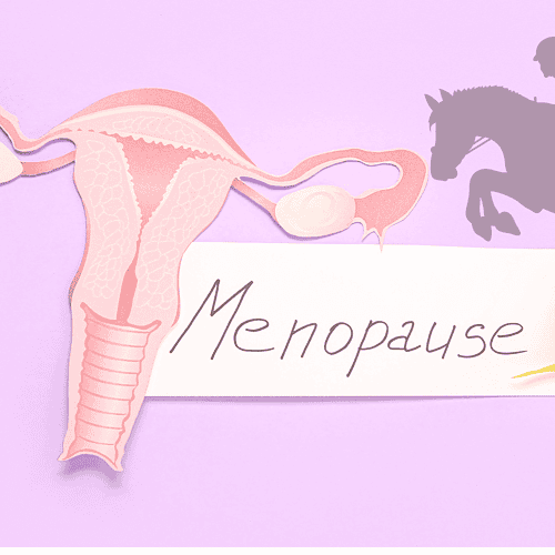 equestrians in menopause