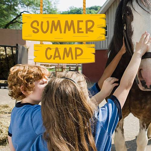 horse camp