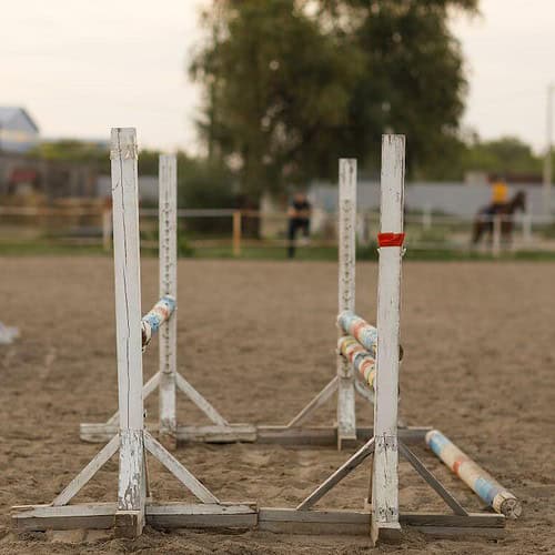 schooling fence - oxer
