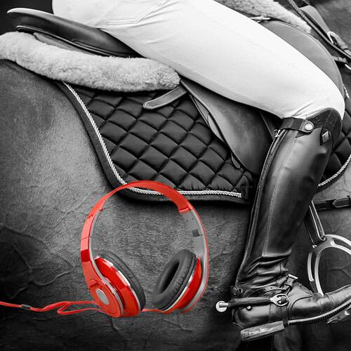 a person's leg on a horse