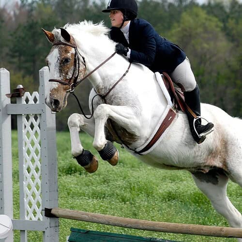Equioxx and lameness