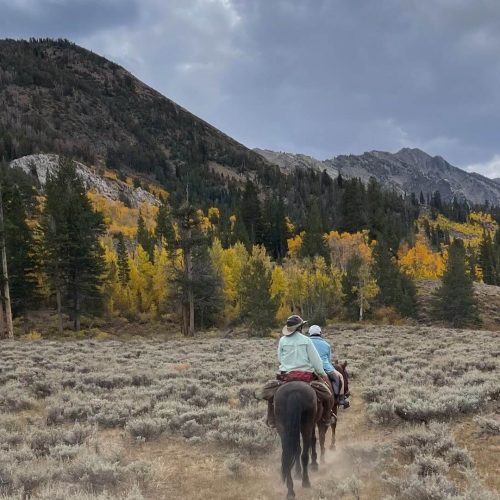 Horse Camping in the USA