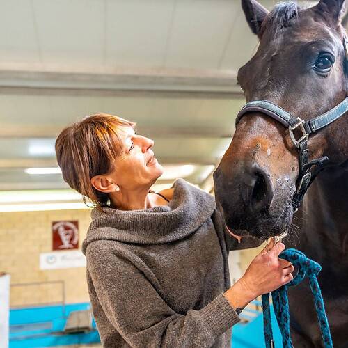older equestrian