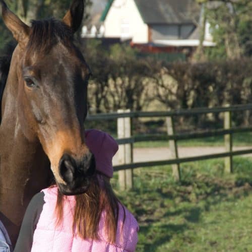 girl blanketing a horse