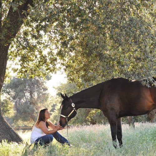 🐴 Ask Stella: My Horse is Hotter Than Me—Help!