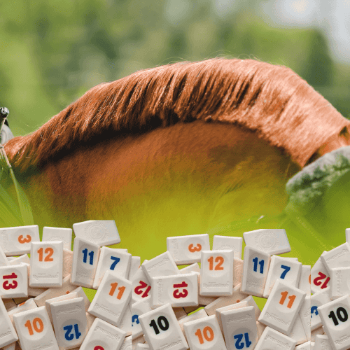 rummikub horse show