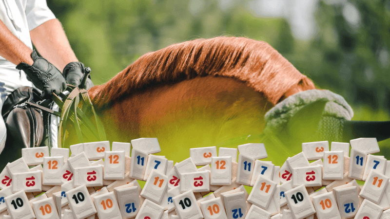 rummikub horse show