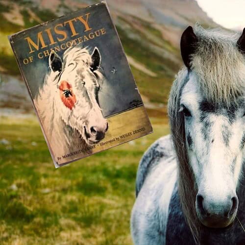 childs pony