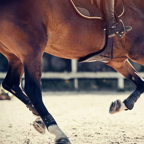 schooling at home