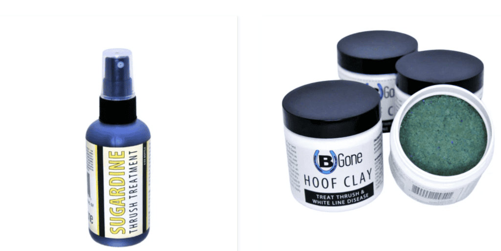 Horse hoof clay treatment for thrush in equine hooves.