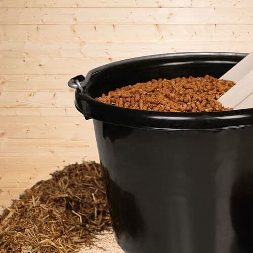 horse Supplements