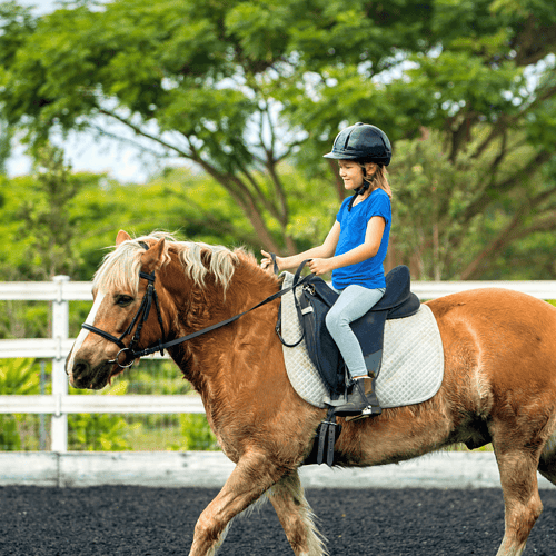 fist riding lesson