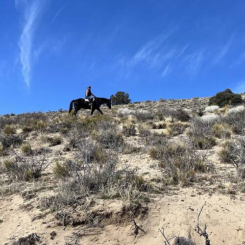 Riding horse in desert