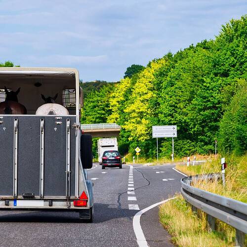 horse trailer