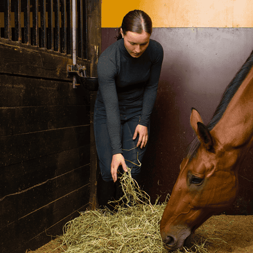 The “Teenage” Years (But Make It Horsey): How to Keep Your Horse Happy, Sound, and Slightly Less Dramatic