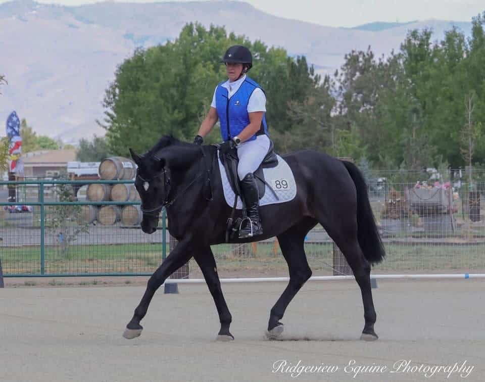 Dressage Text - Black Horse - Cooling Vest