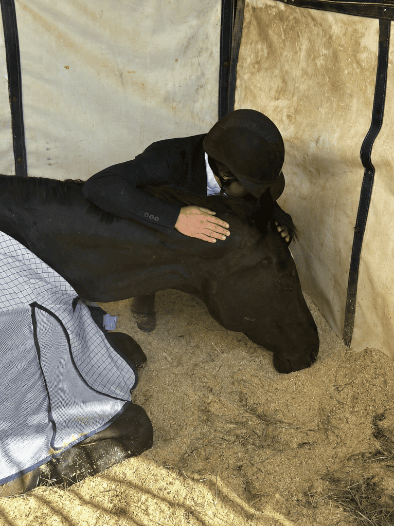 horse show stall